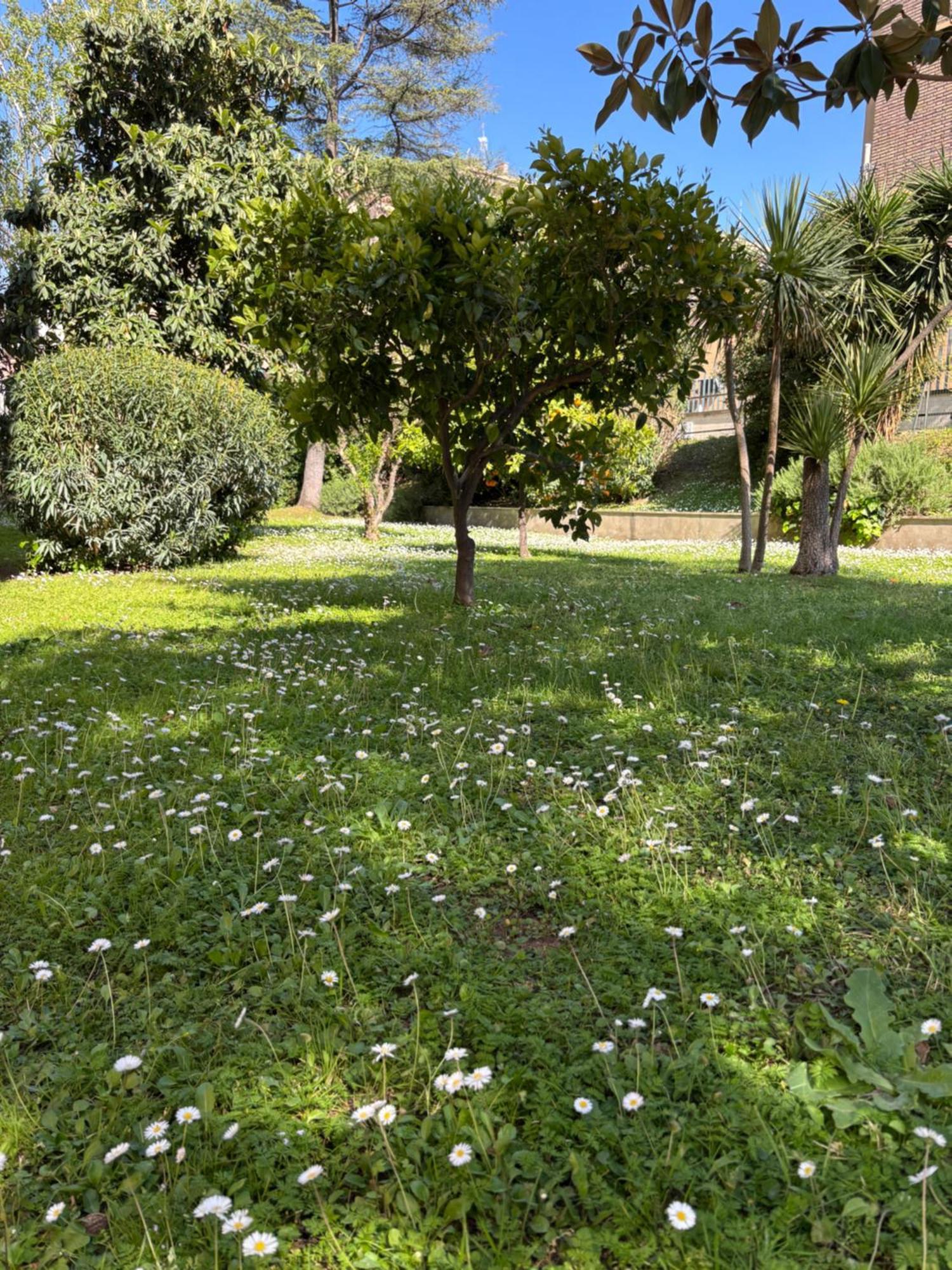 Grelly'S House - Holiday In Rome - 50 Meters From The Metro מראה חיצוני תמונה