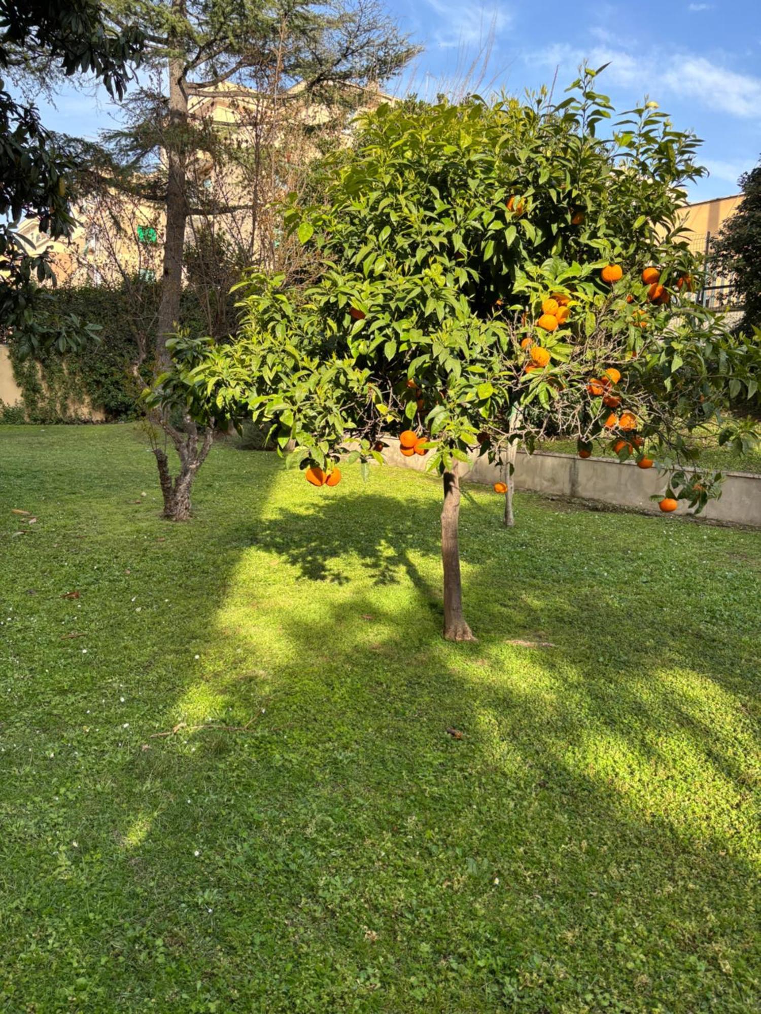 Grelly'S House - Holiday In Rome - 50 Meters From The Metro מראה חיצוני תמונה